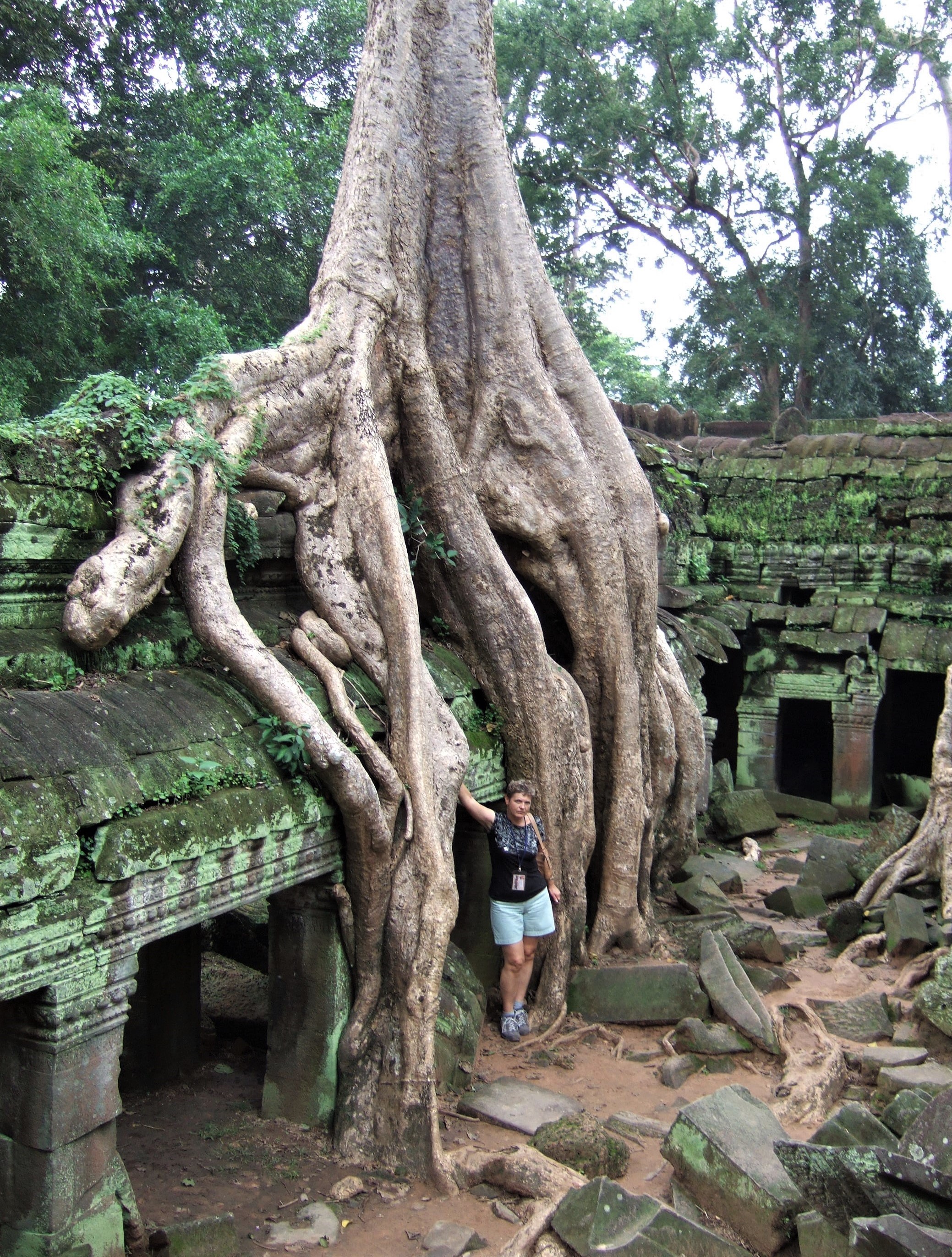 Angkor, Cambodia